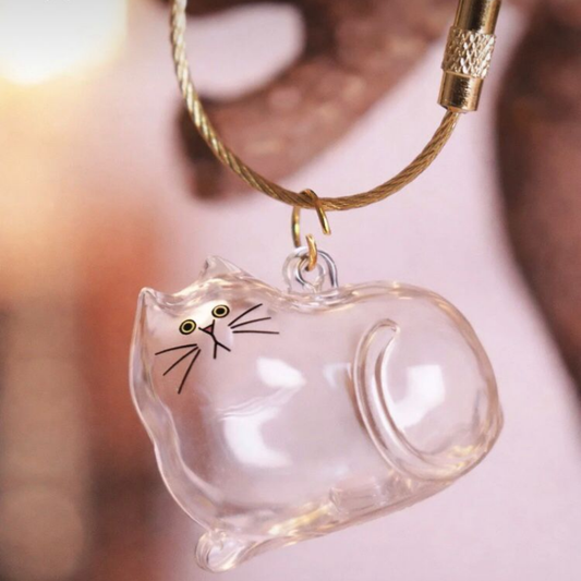 Minovoo Pati Hatıra Kapsülü